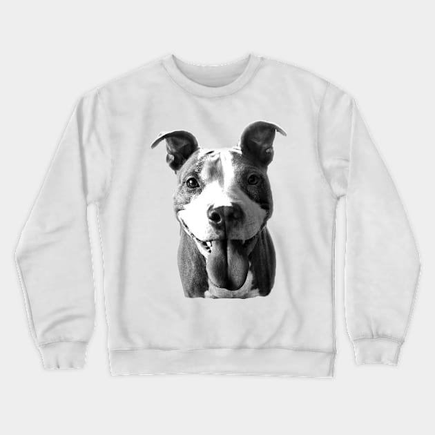 Riley Boy! Crewneck Sweatshirt by Ladybird Food Co.